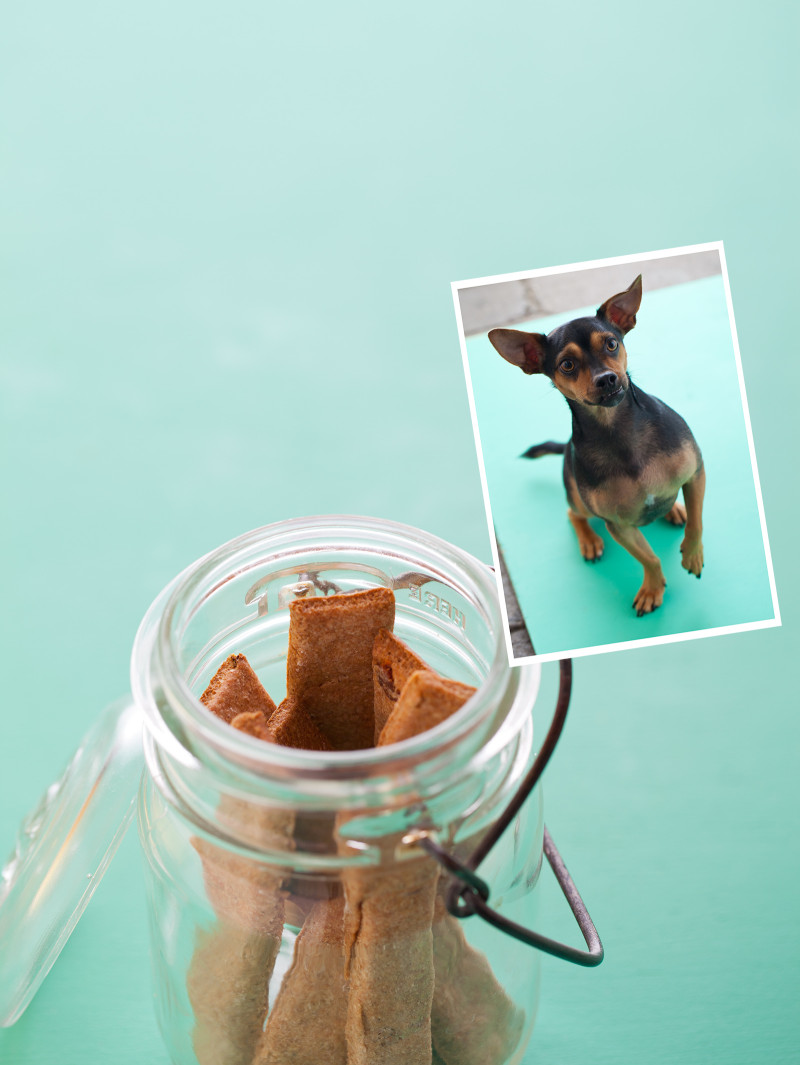 Bacon Bark Sticks Dog Treats Spoon Fork Bacon