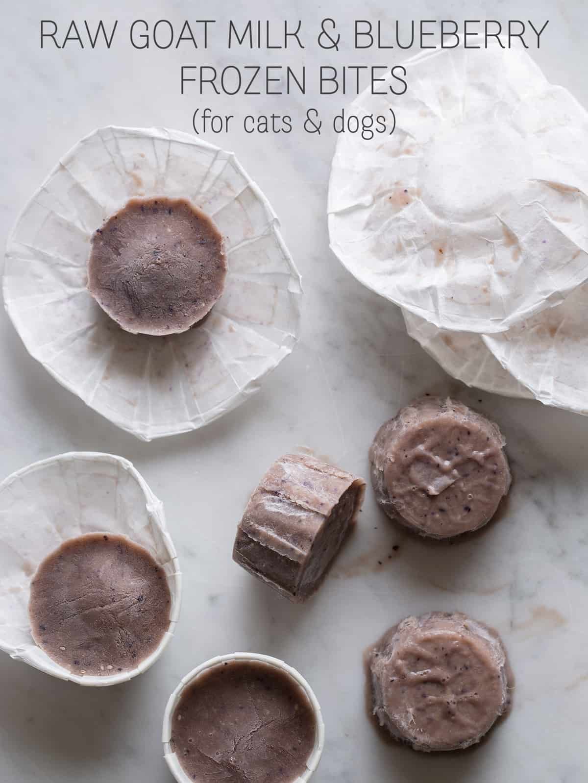 Raw Goats Milk and Blueberry Frozen Bites Spoon Fork Bacon Recipe