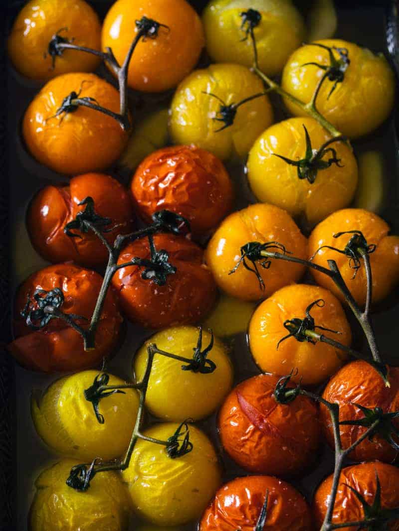 Confit Tomatoes (served with pasta salad and burrata)