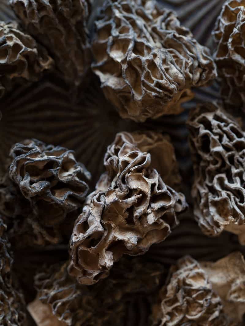 Morels Dried morels for a Wild Mushroom Farro Riotto.
