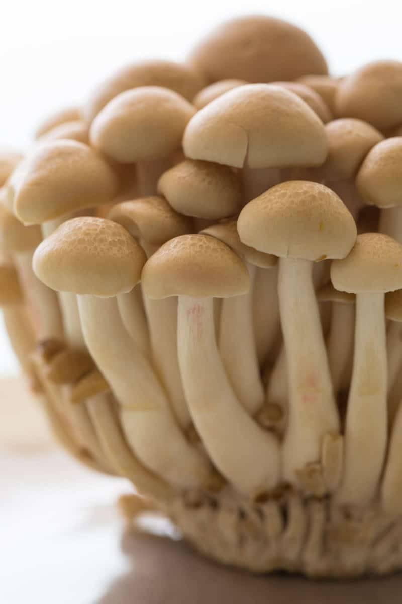 A close up of beech mushrooms.