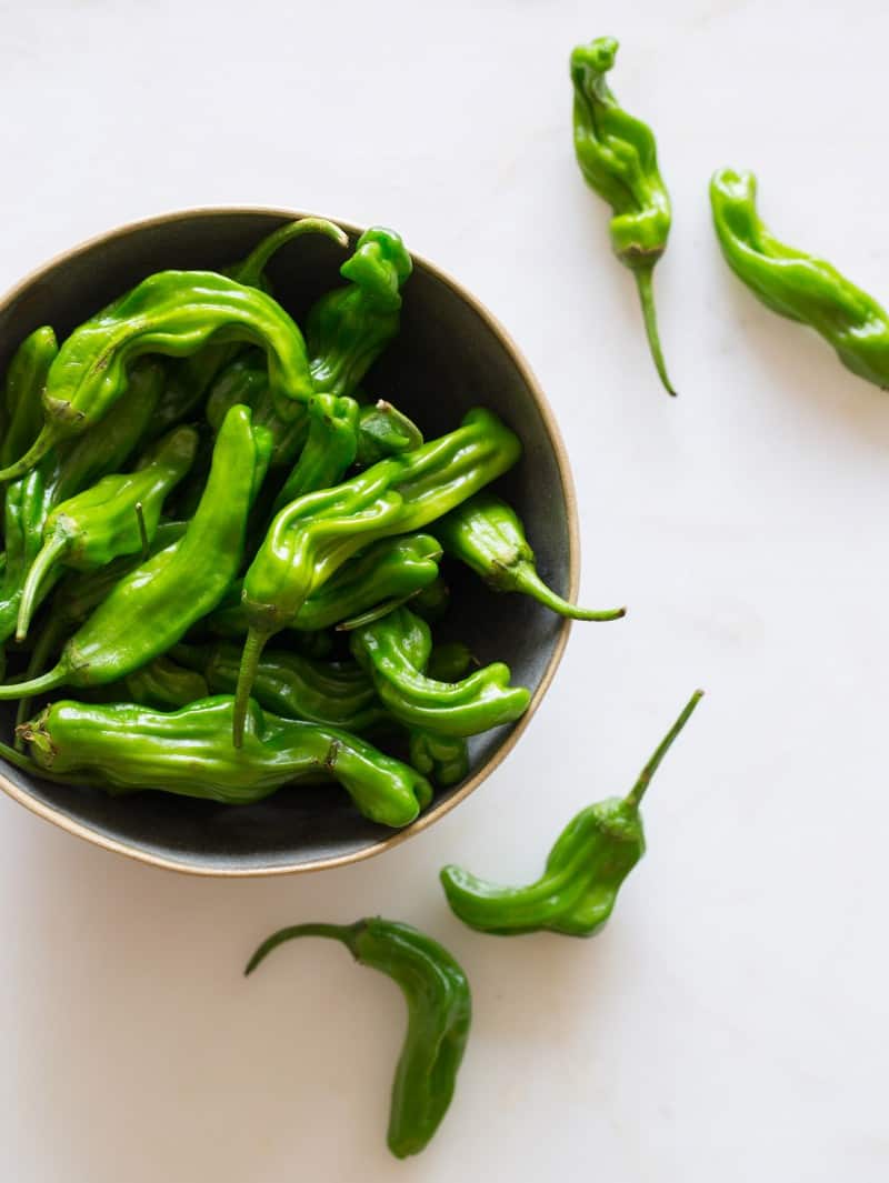 Shishito Peppers for a delicious appetizer recipe.