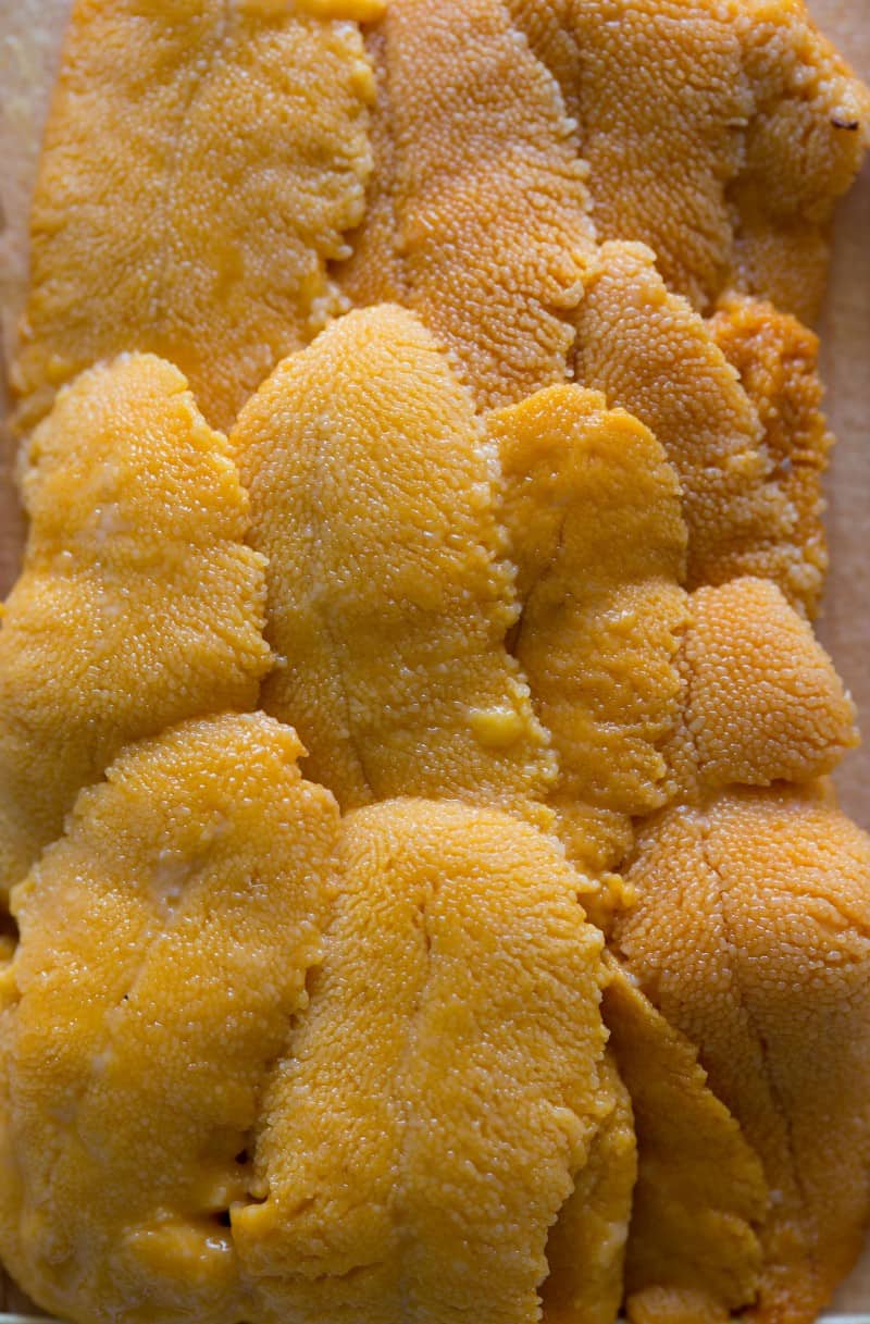 Fresh uni to be made into a Uni Risotto.