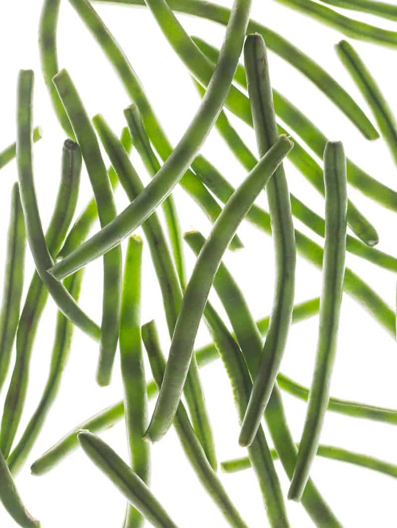 Green Beans for Lightly Roasted Green Beans Green Beans for Lightly Roasted Green Beans
