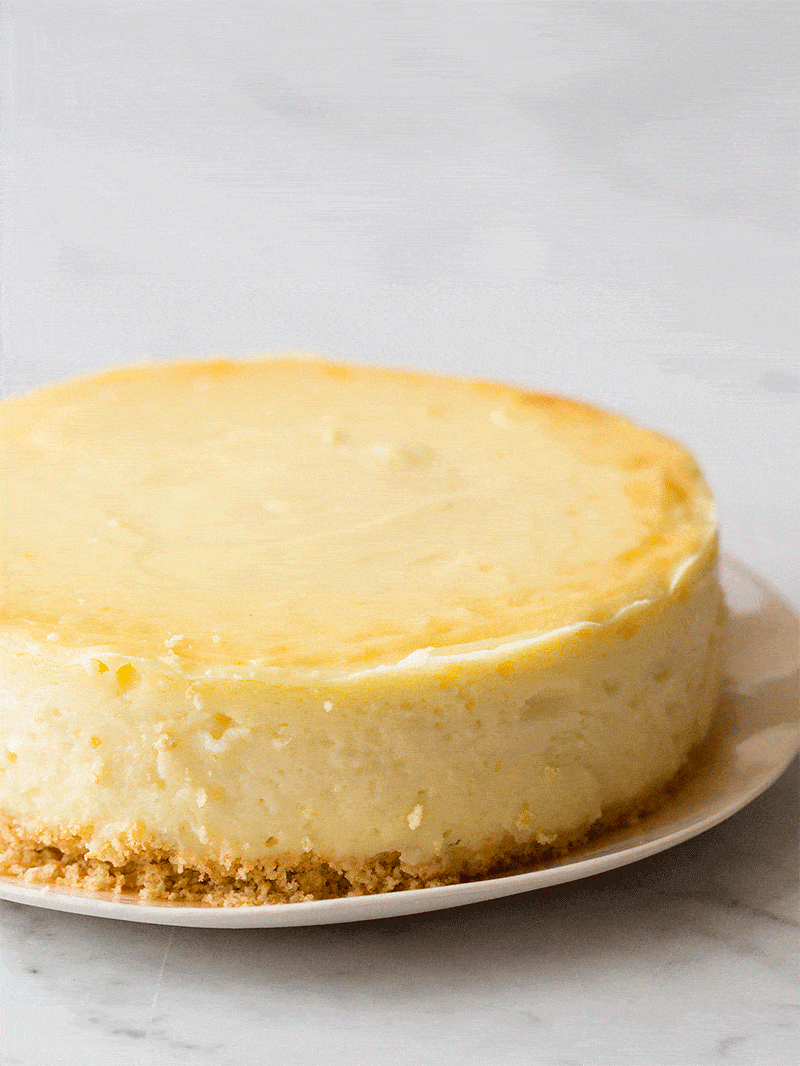 A close up of New York style cheesecake with cajeta drizzled on top gif.