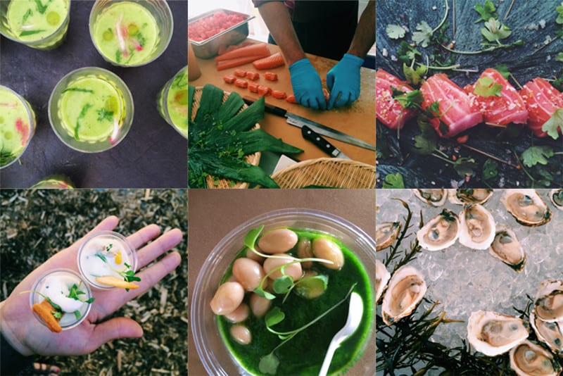 A collage of different types of food in cups and being prepared.