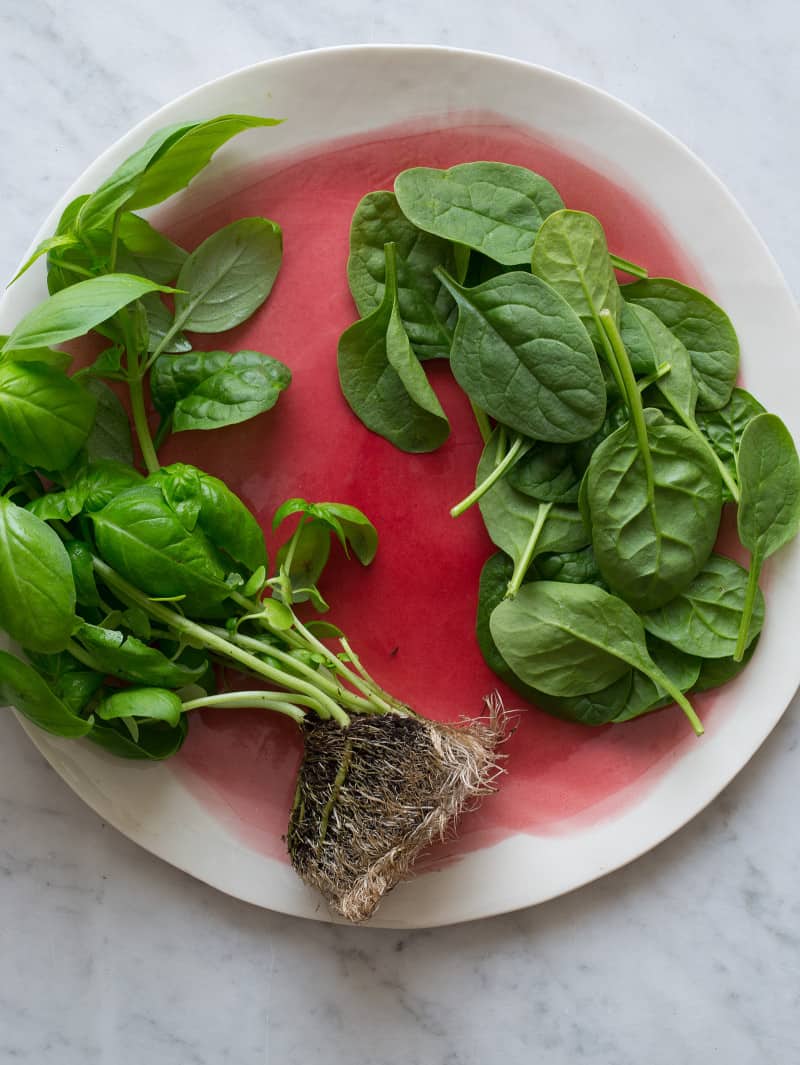 A plate of fresh spinach and basil with roots and picked off.