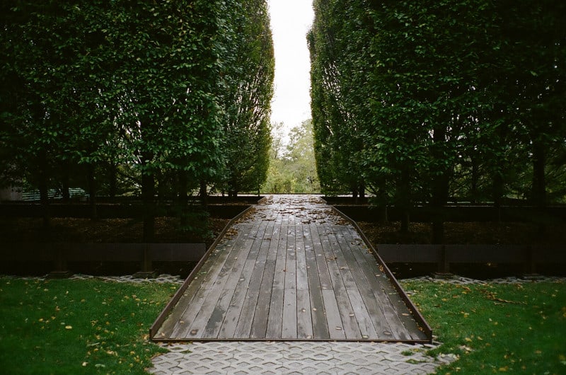 A tree lined wooden path.