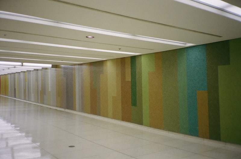 A graphic wall in a hallway.