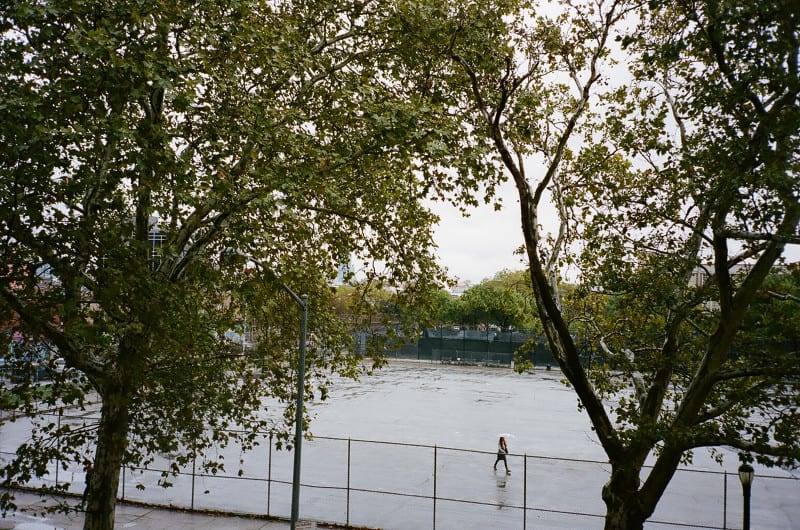 A view of trees lining an open space with a women walking.