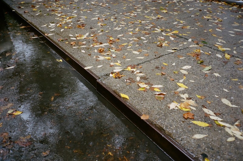 A city street and sidewalk covered in rain and colorful leaves.