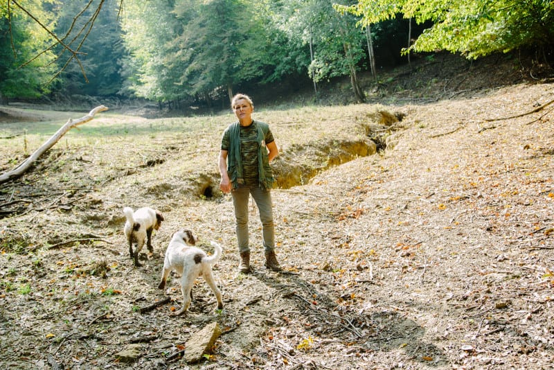 A woman with dogs on a dirt field.