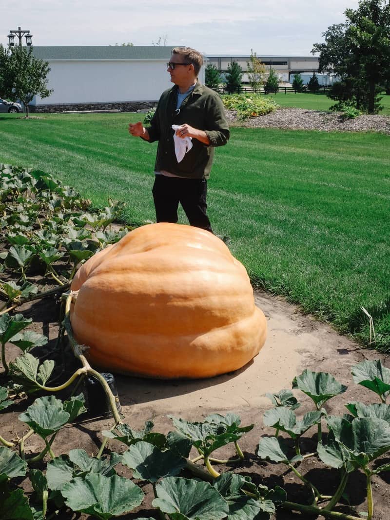 A man next to a giant gourd in a garden.