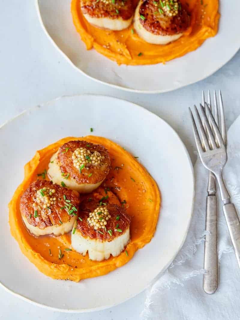 A plate of seared scallops over roasted sweet potato pureee with forks.