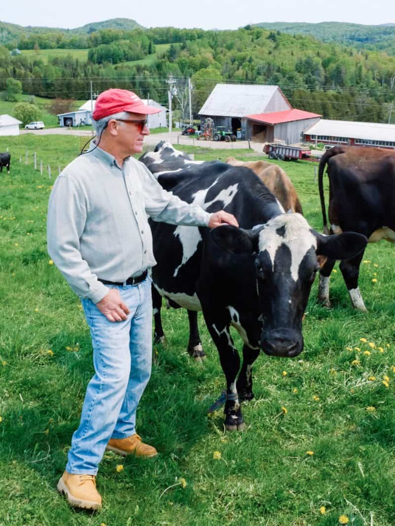 A man reaching out to a black and white cow.