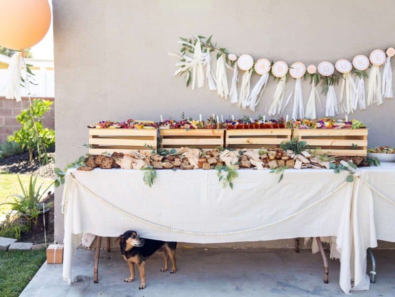 Table with charcuterie and cheese boards, salads, garland backdrop and a cute dog under the table.