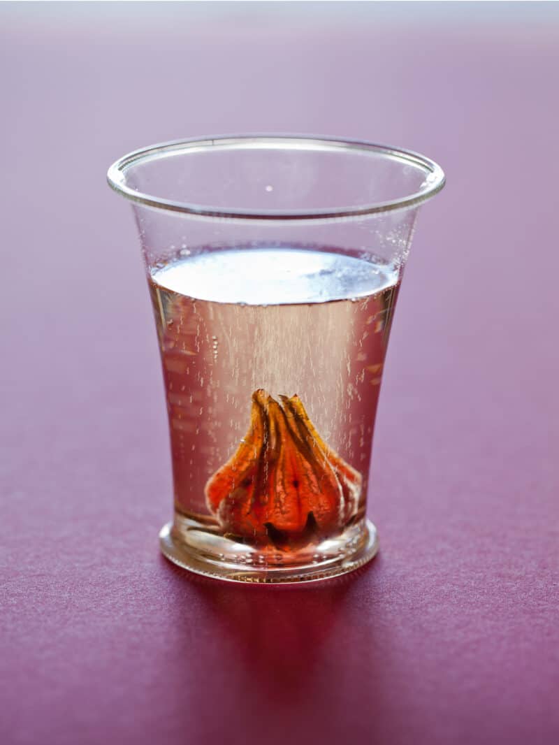 A close up of a glass of hibiscus ginger champagne cocktail.