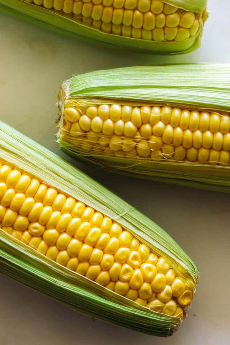 A close up of corn on a the cob for elote fritters.