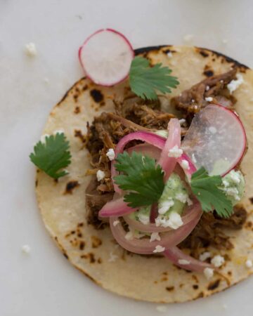 A close up of a cochinita pibil taco.