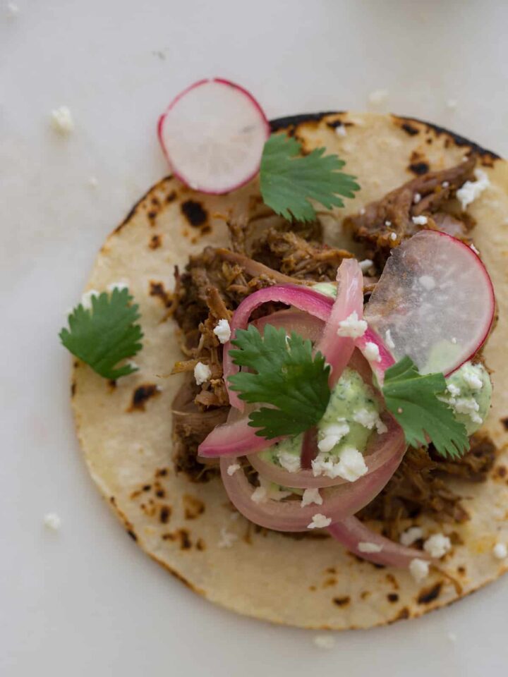 A close up of a cochinita pibil taco.