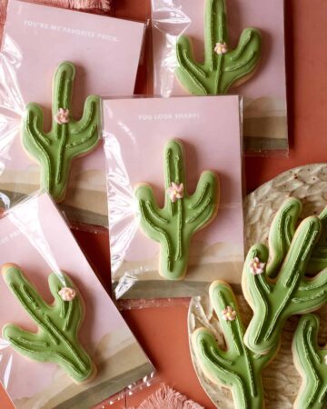 DIY cactus cookie valentines.