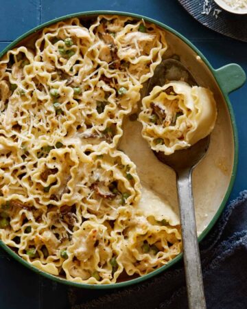 Chicken alfredo lasagne roll ups in a pan, serving with a spoon.