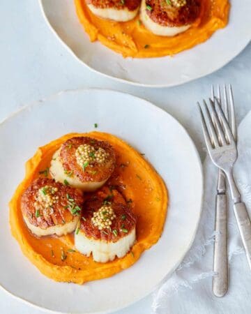 A plate of seared scallops over roasted sweet potato pureee with forks.