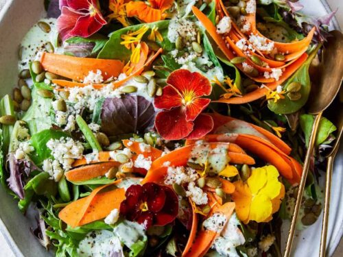 green emerald velvet dress Forks Over Knives: The Plant-Based Way to Health, The #1 New York Times  Bestseller: Stone, Gene, Campbell, T. Colin, Esselstyn, Caldwell B.:  9781615190454: Amazon.com: Books