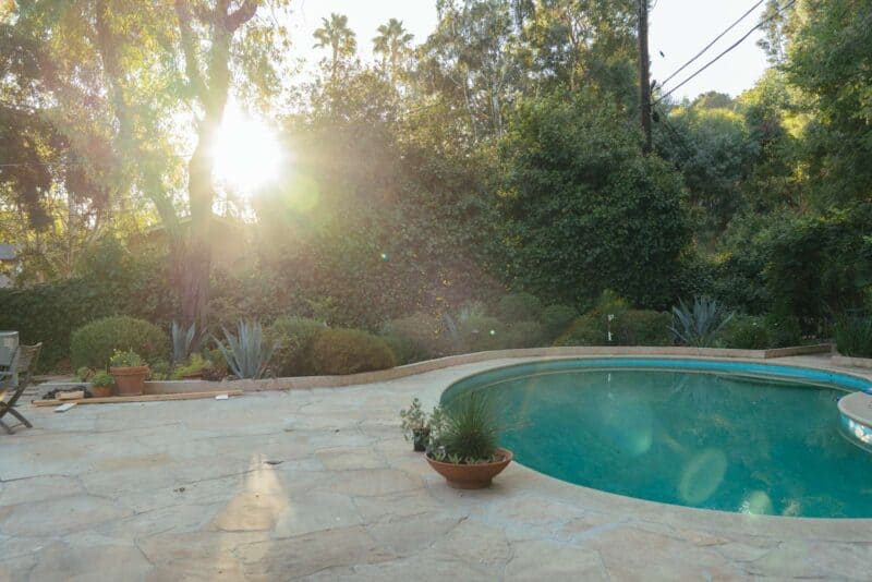 A lush garden by a pool.