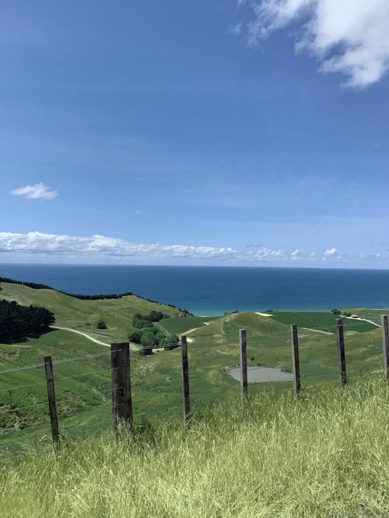 New Zealand countryside.