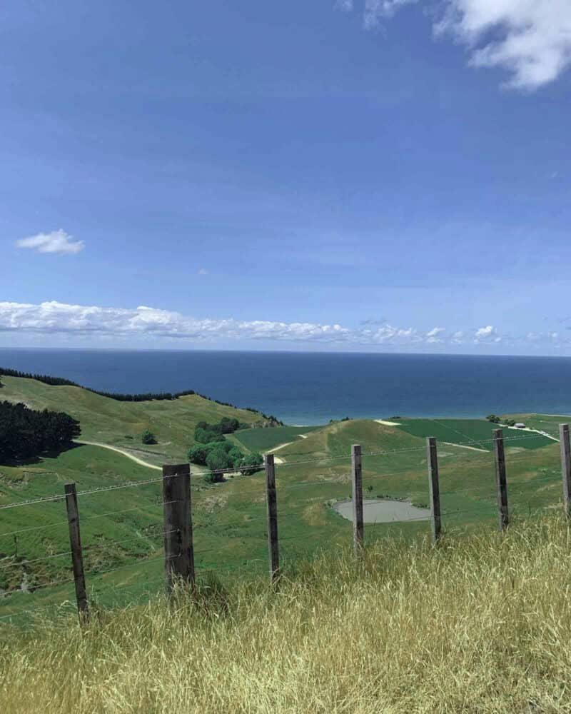 A lush green field looking out to the ocean.