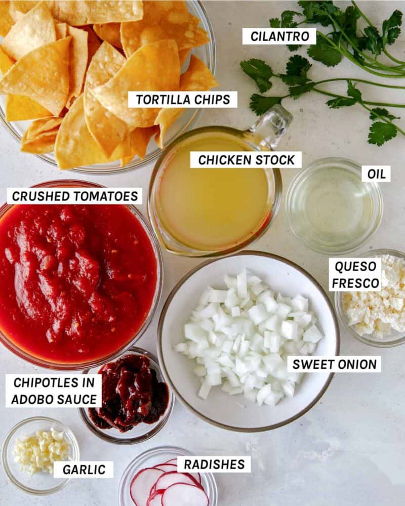 Ingredients for everything you'll need to make chilaquiles