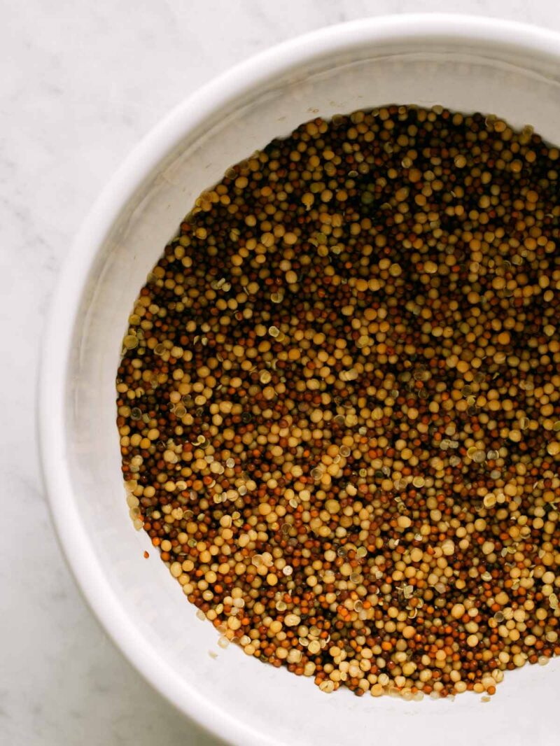 Mustard seeds that have been soaking overnight. You can see how nice and plump they are.