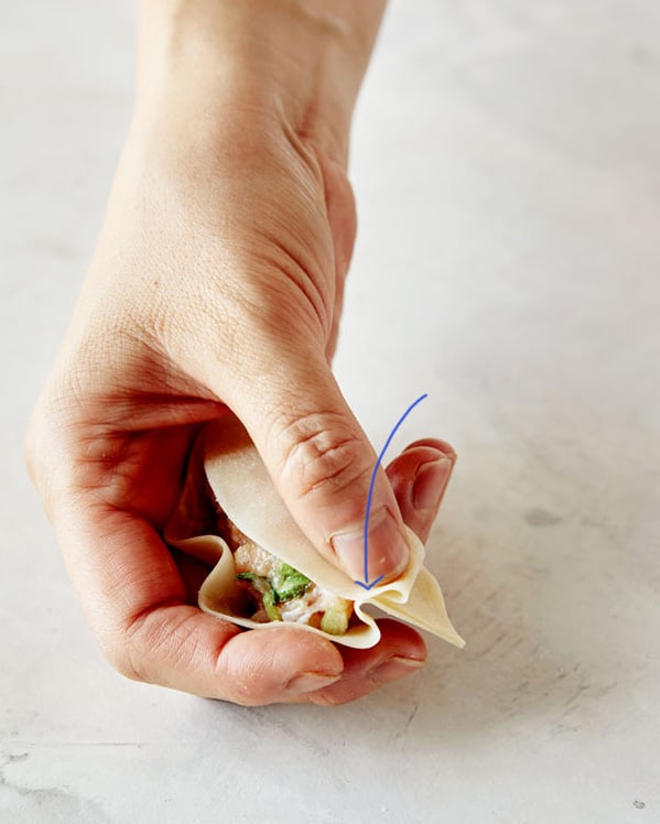Pleating a wonton wrapper to make a potsticker. 
