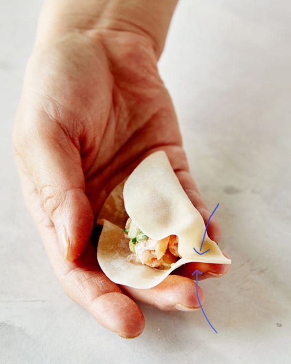 A pinched edge of a wonton wrapper which is the starting point to pleating.