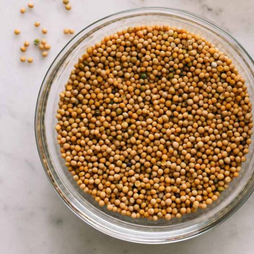 Homemade Whole Grain Mustard Spoon Fork Bacon