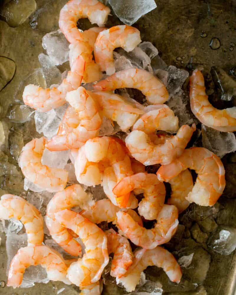 Cooked shrimp on a baking sheet with ice.