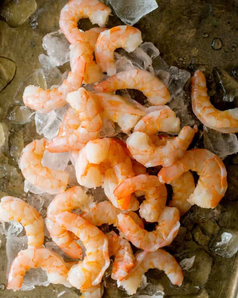 Cooked shrimp on a baking sheet with ice. 