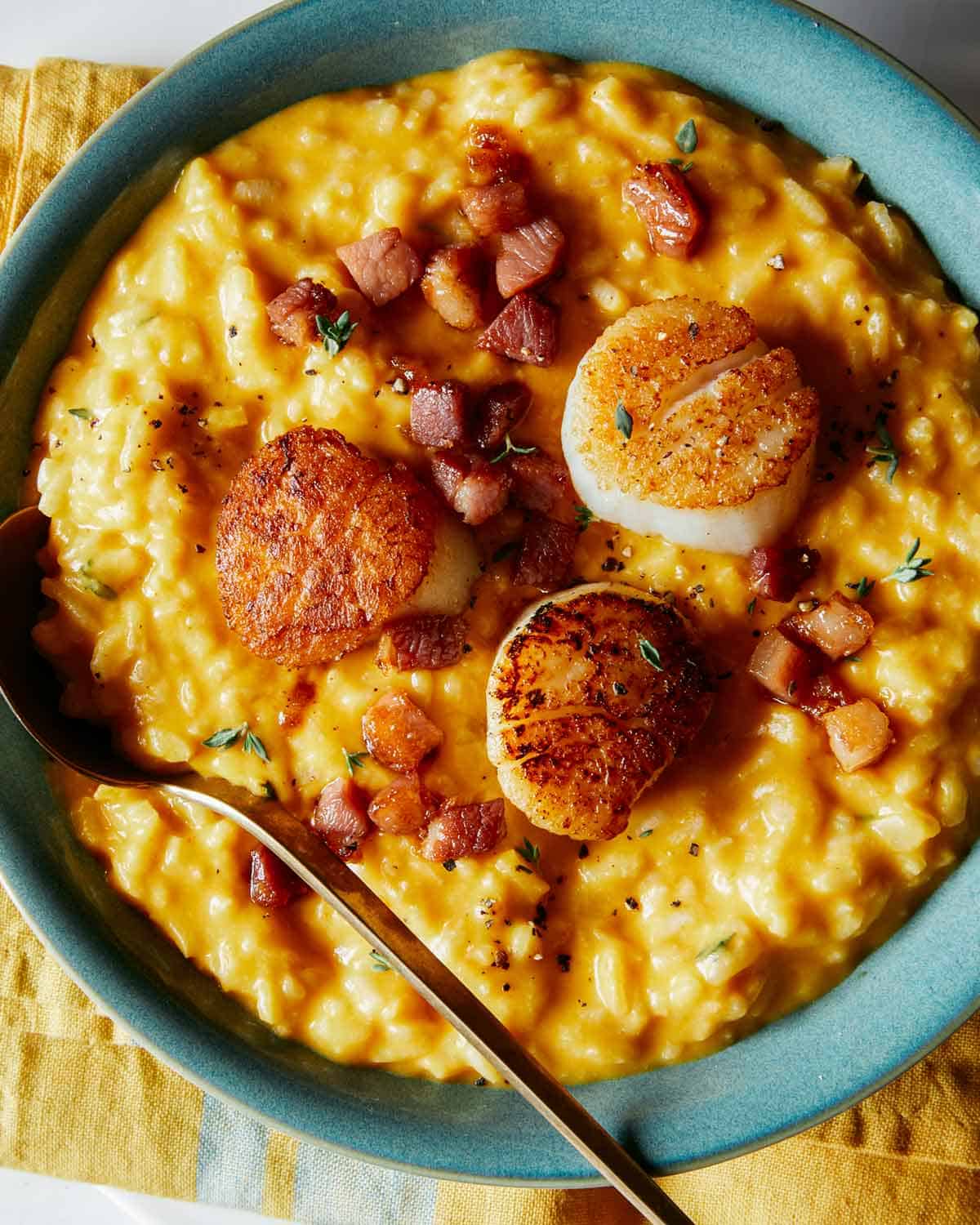 A close up shot of Pumpkin Risotto with seared scallops. 