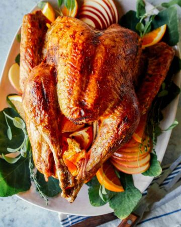 Citrus dry brined turkey on a platter.