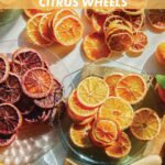 Dehydrated citrus wheels spread out on a surface on plates.