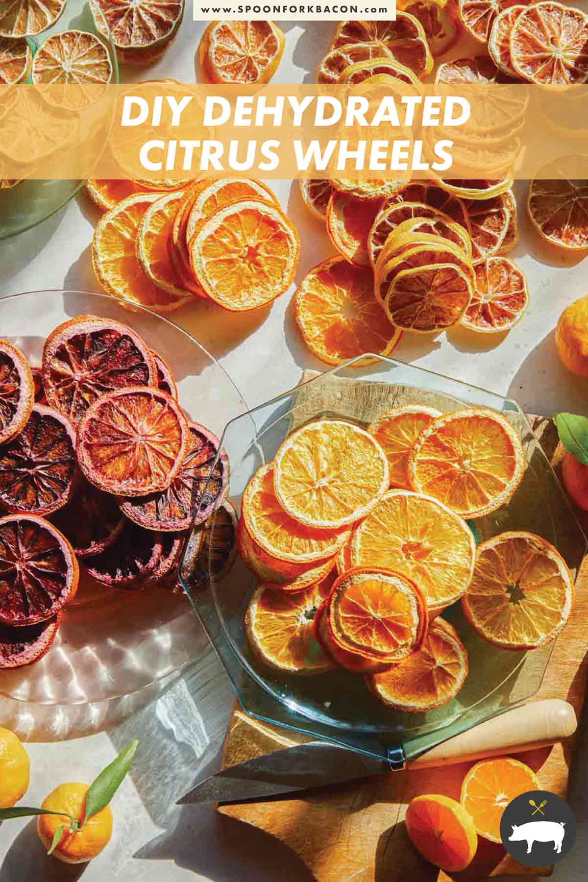 Dehydrated citrus wheels spread out on a surface on plates.