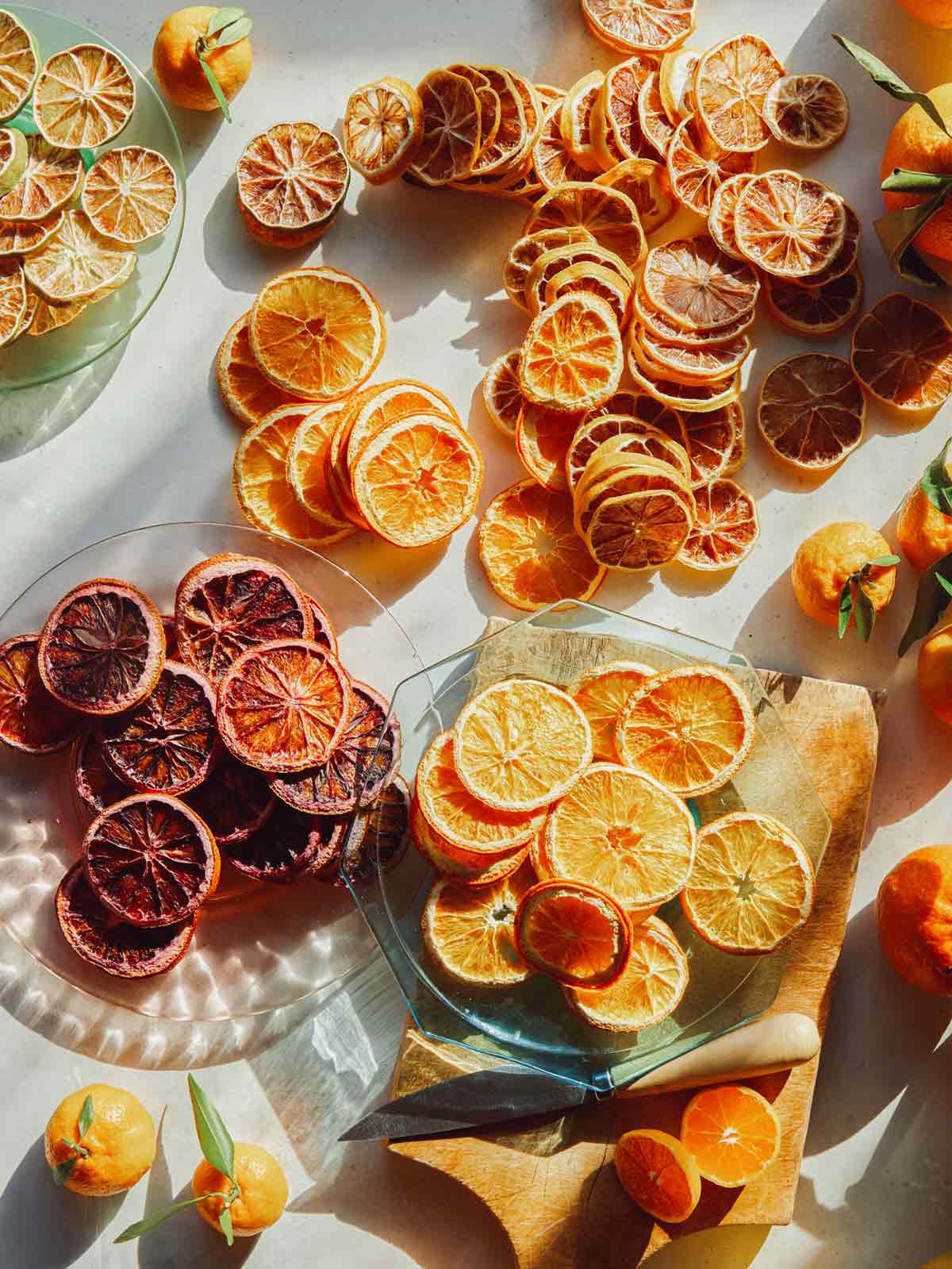 Dehydrated citrus wheels spread out on a surface on plates. 