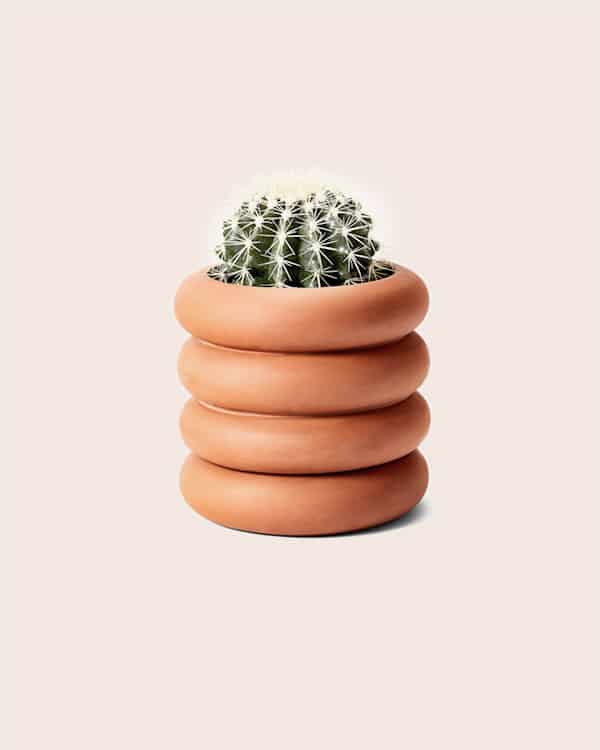 A planter with a cactus in it. 