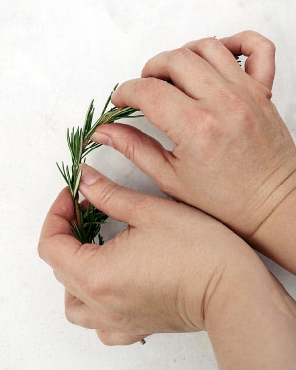 Bend the rosemary sprigs with your hands to make it able to go into a circle. 