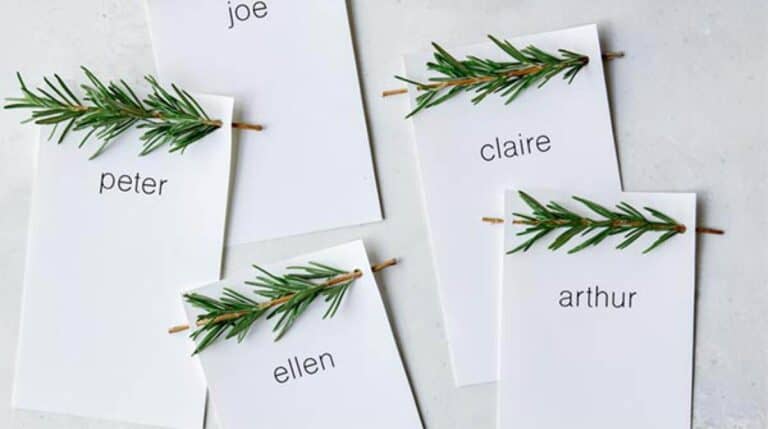 Rosemary Sprig Place Cards laid out on a surface.