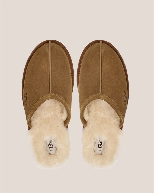 Uhh slippers on a tan background.  