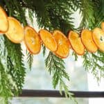 Citrus garland close up strung up in a window.