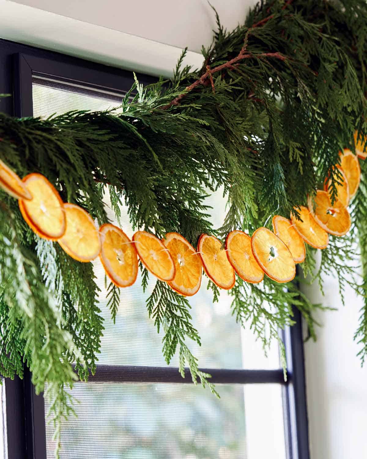 A close up on citrus garland.