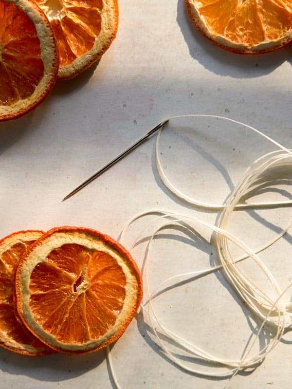 Twine with a needle on one end surrounded by dehydrated citrus wheels.